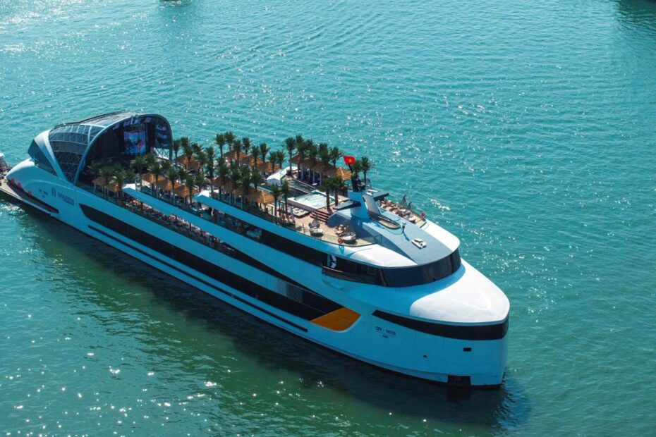 dolphin cruise halong bay