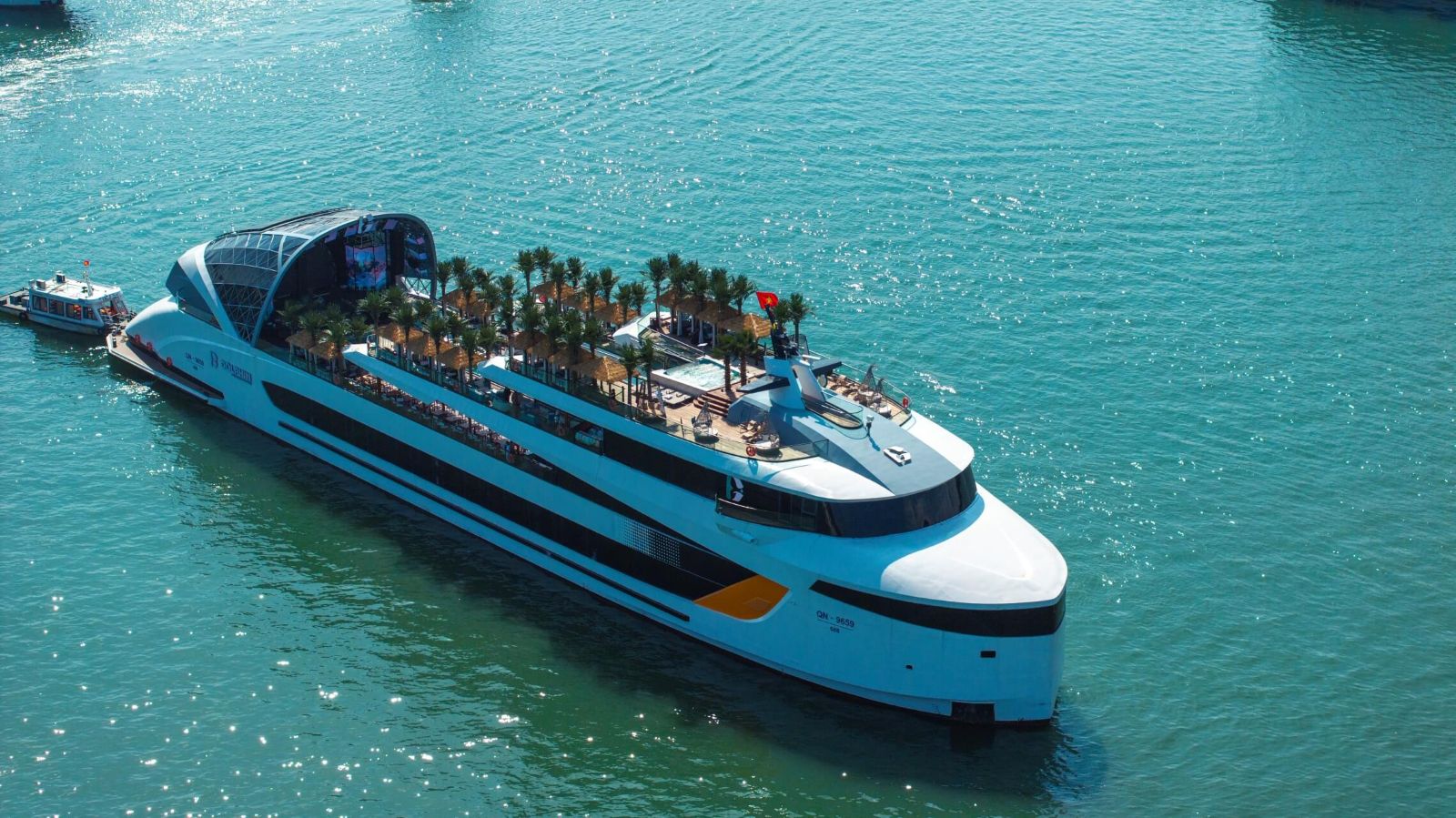 Dolphin Halong Bay Cruise | Luxury Day Tour & Dinner Experience