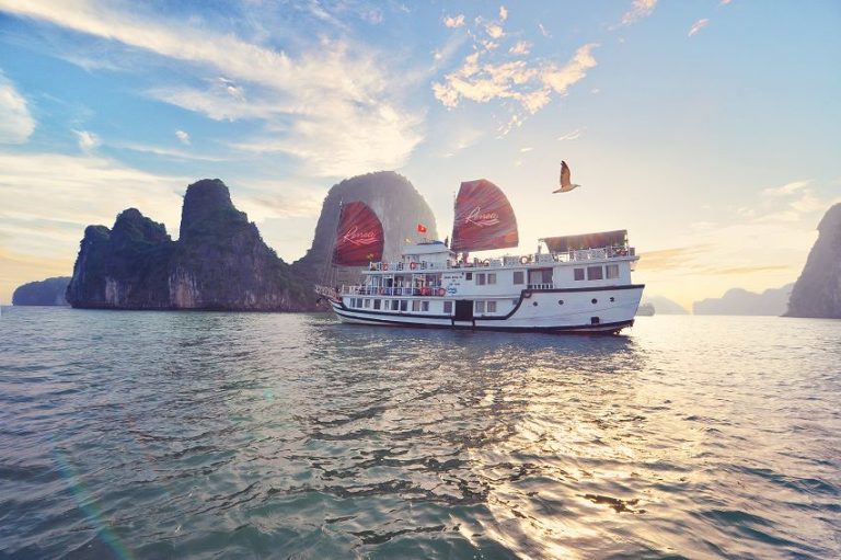 renea cruise bai tu long bay