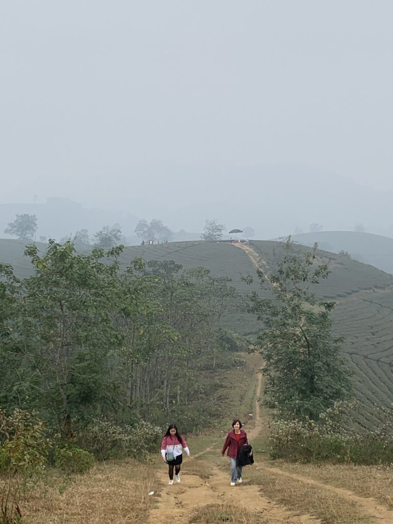thanh son tea hills