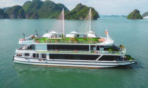 Apollo Premium Cruise Halong Bay Day Tour