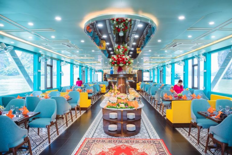apollo premium cruise day tour