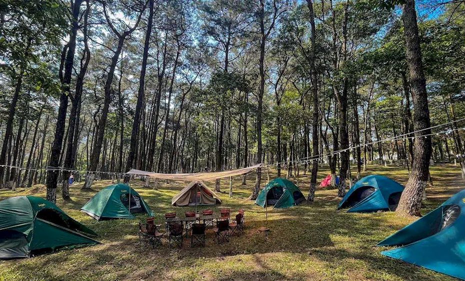 ba vi camping