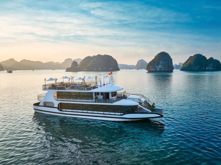cozy bay premium cruise day tour