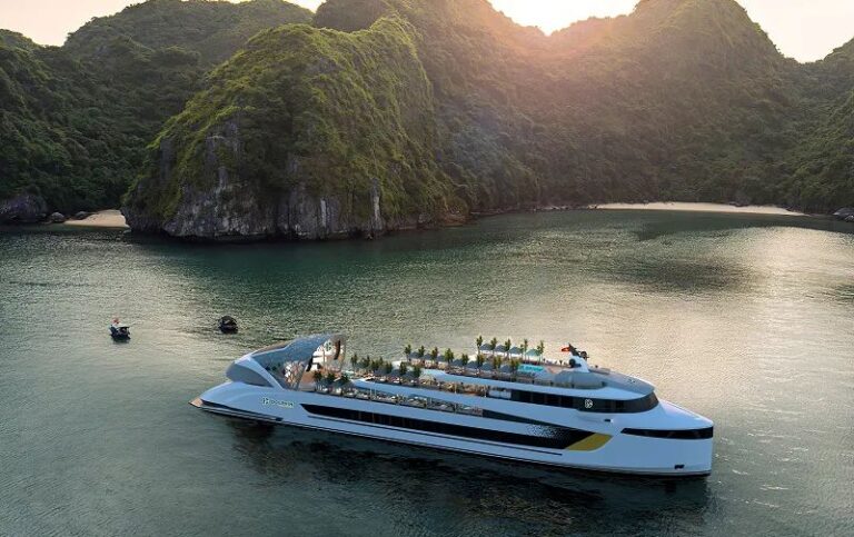 dolphin cruise halong bay