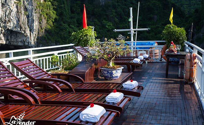 lavender cruise lan ha