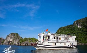 Lavender Cruise Halong Bay