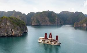 Orchid Cruise Halong Bay & Lan Ha Bay
