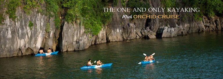 orchid cruise halong bay