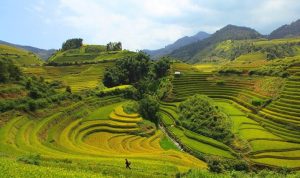 Mai Chau & Pu Luong 2 Days 1 Night