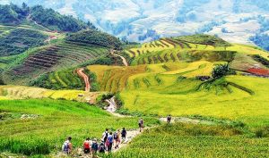 Sapa & Bac Ha Market Tour – 3 Days of Culture & Adventure