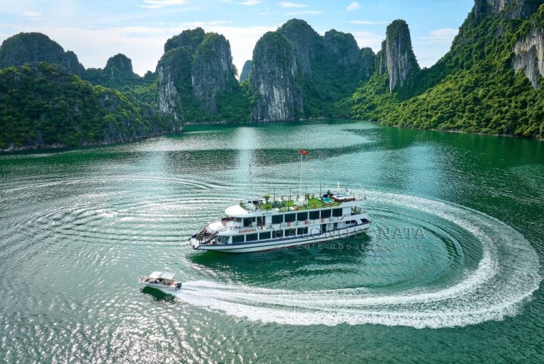 sonata cruise day tour halong bay