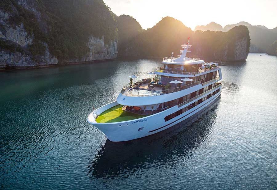 stellar of the sea cruise