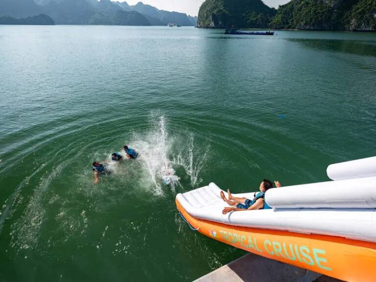 tropical cruise day tour