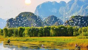 Van Long Nature Reserve Day Tour