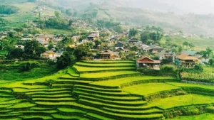 Sapa Tour Trekking 3 Days 2 Nights